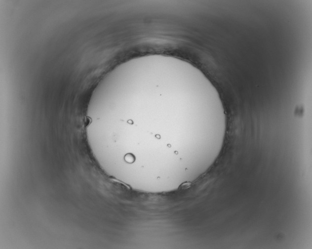 X0000113061109200909181954