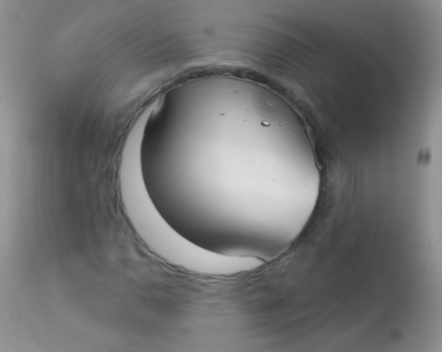 X0000113061110200909181954