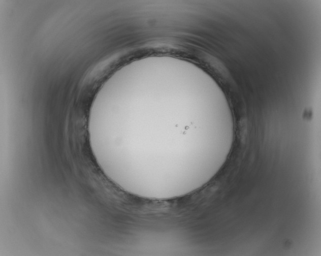 X0000113061111200909181954