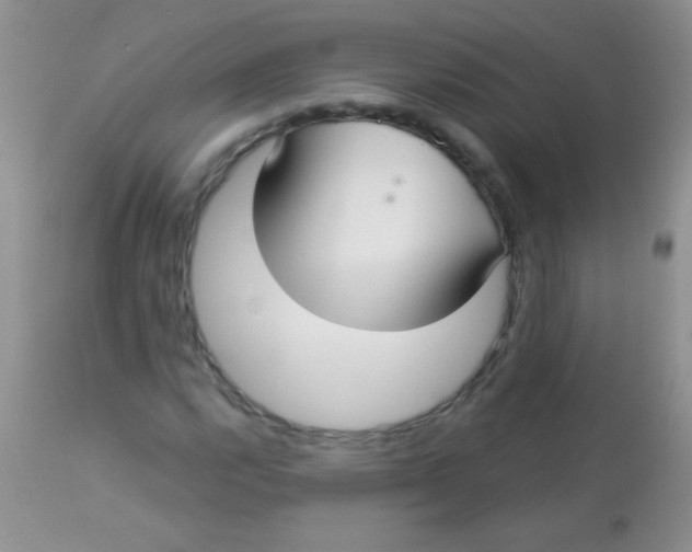 X0000113061112200909181954