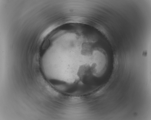 X0000113061114200909181954