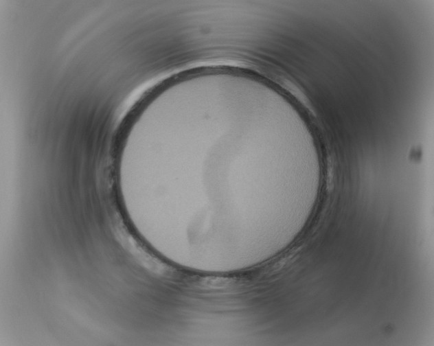 X0000113061116200909181954
