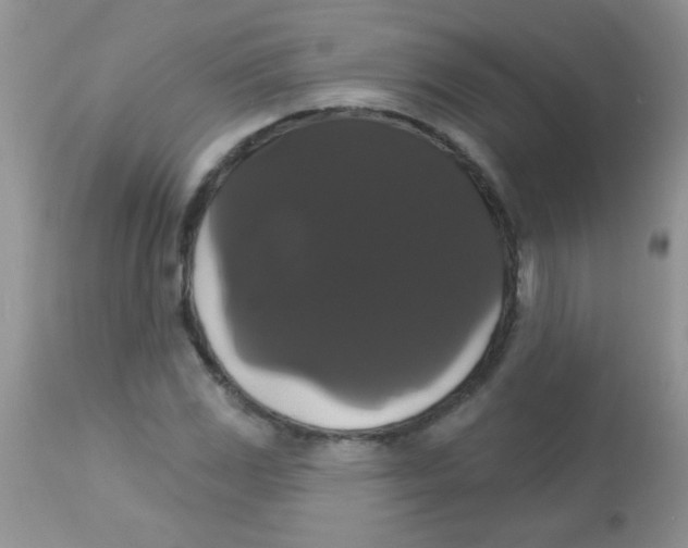 X0000113061117200909181954