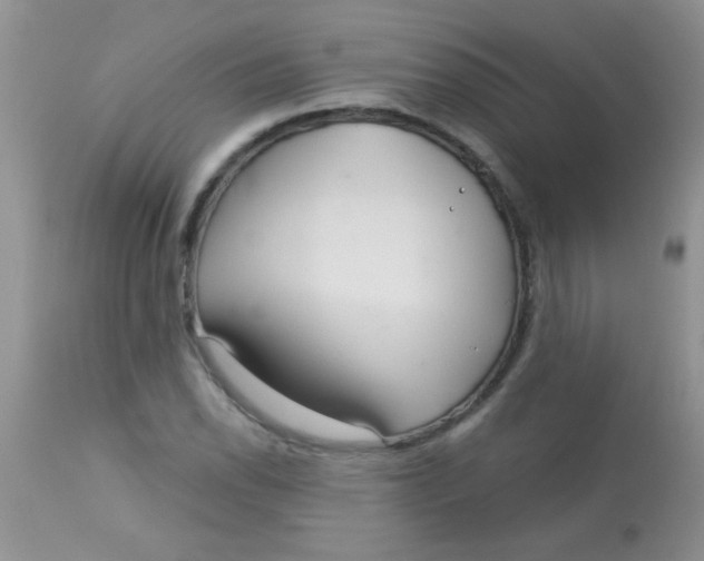 X0000113061118200909181954