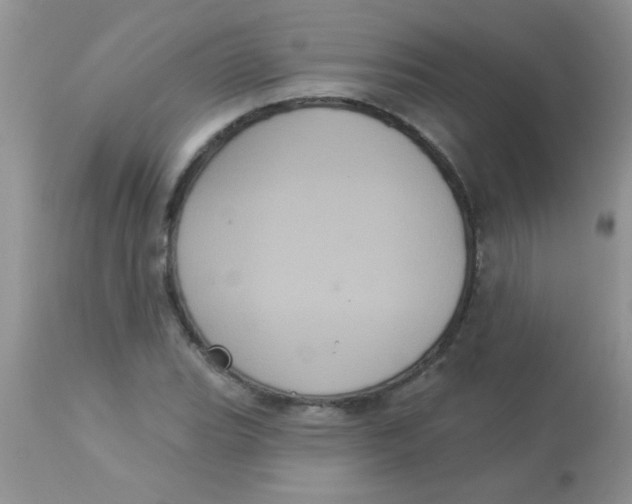 X0000113061119200909181954