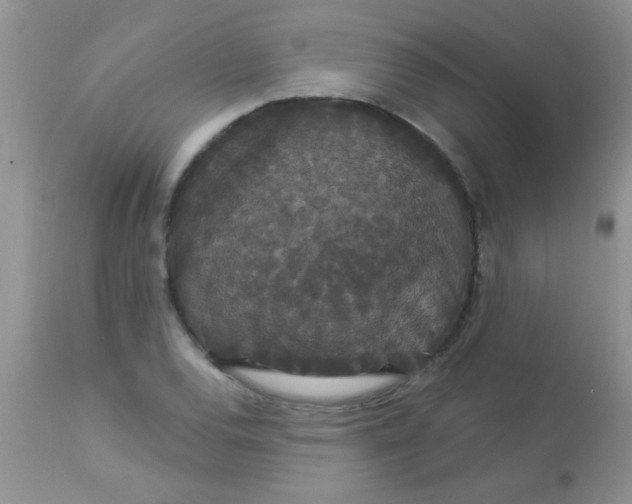 X0000113061120200909181954