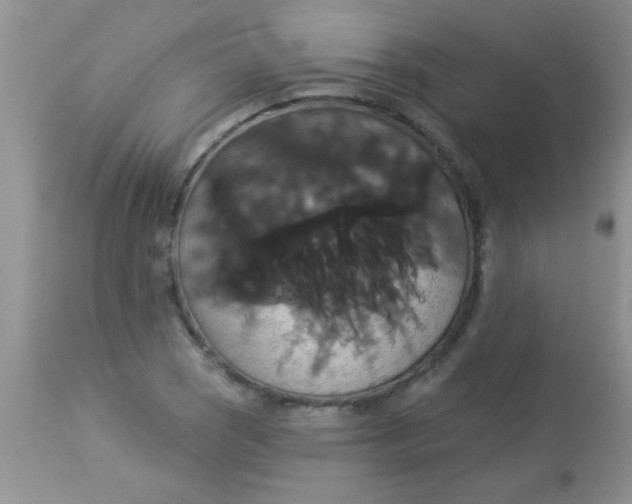 X0000113061121200909181954