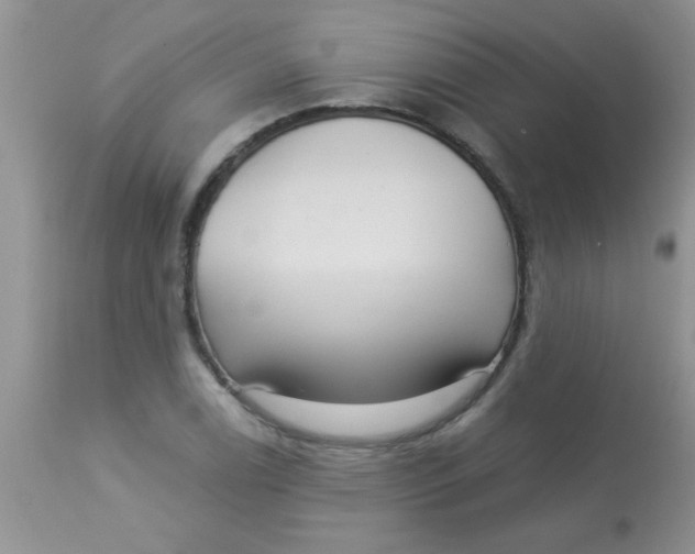 X0000113061122200909181954
