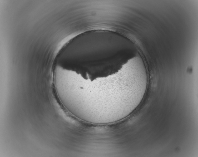 X0000113061125200909181954