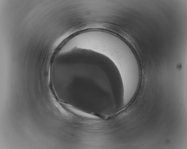 X0000113061127200909181954