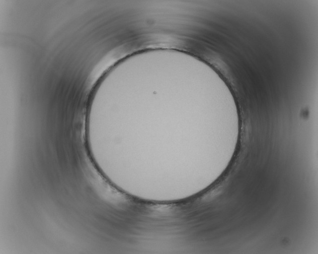 X0000113061130200909181954