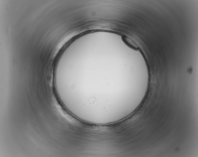 X0000113061131200909181954