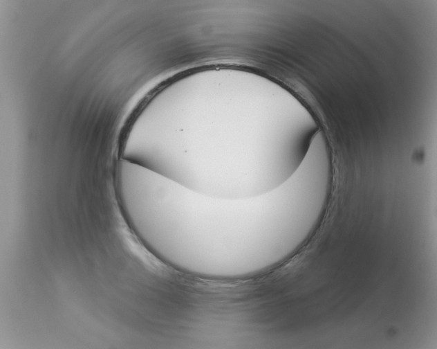 X0000113061132200909181954