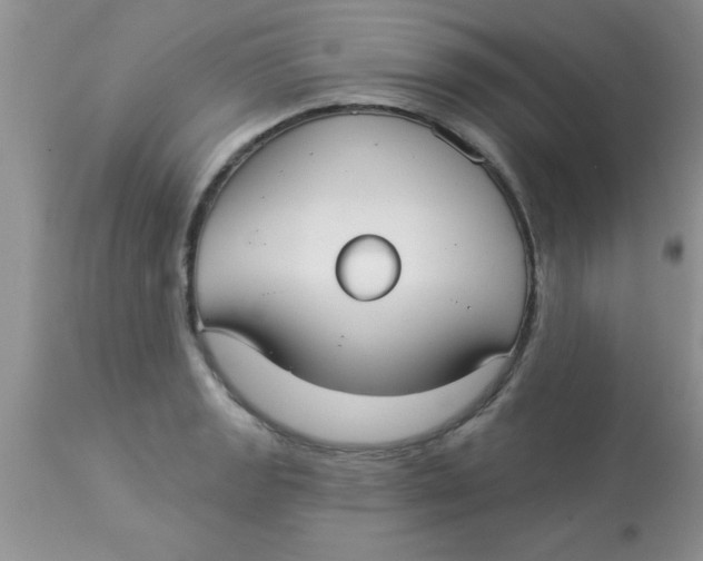 X0000113061133200909181954