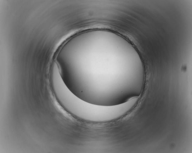 X0000113061134200909181954