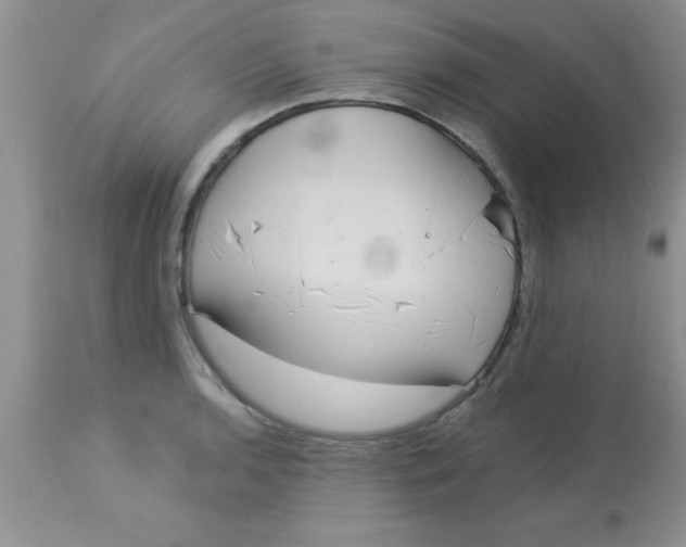 X0000113061136200909181954