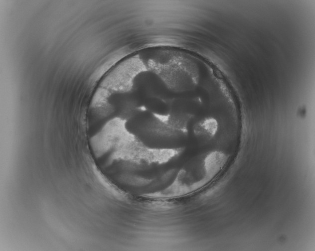 X0000113061137200909181954