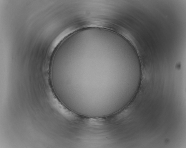X0000113061138200909181954