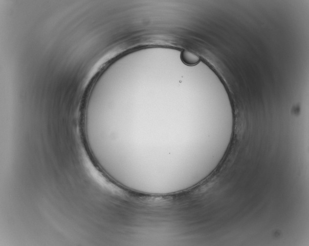 X0000113061139200909181954