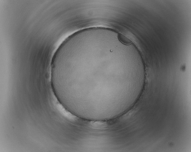 X0000113061140200909181954