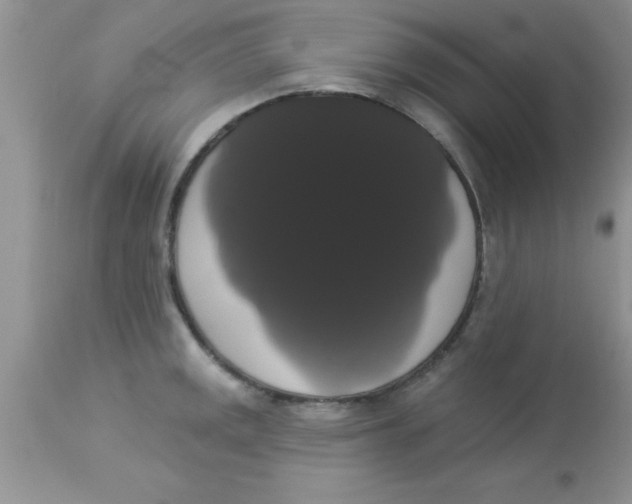 X0000113061141200909181954