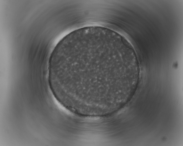X0000113061143200909181954