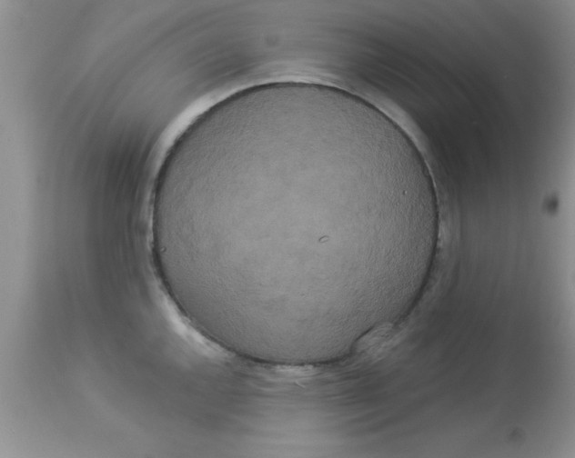 X0000113061144200909181954