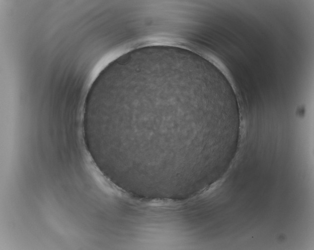 X0000113061146200909181954