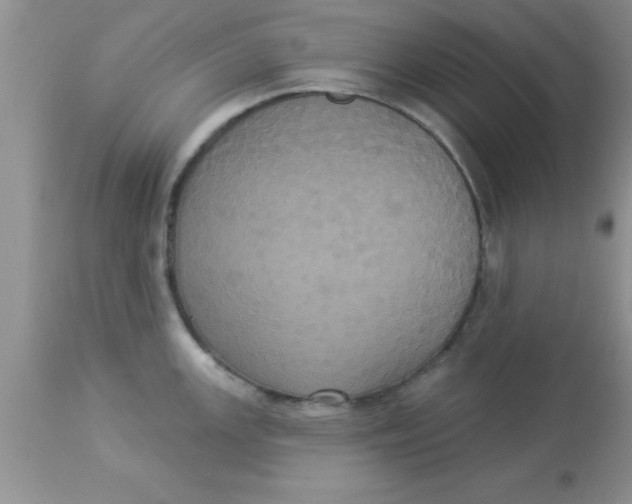 X0000113061147200909181954