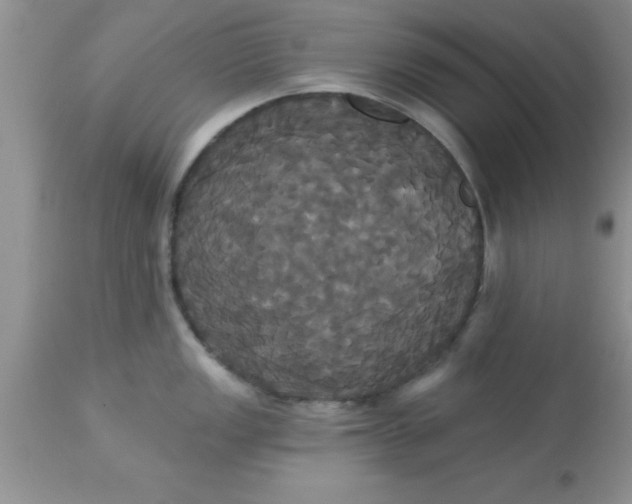 X0000113061149200909181954