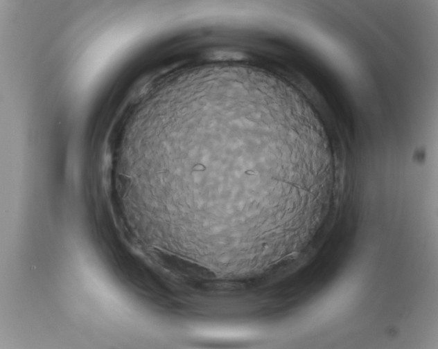 X0000113061151200909181954