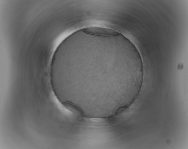 X0000113061152200909181954