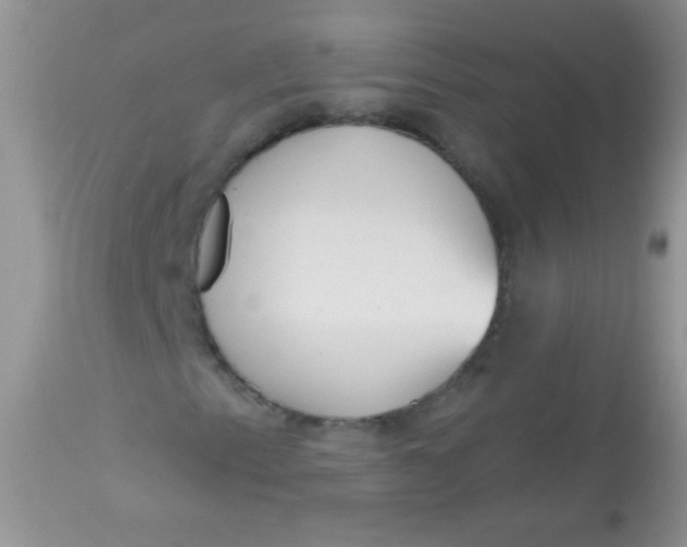 X0000113061153200909181953