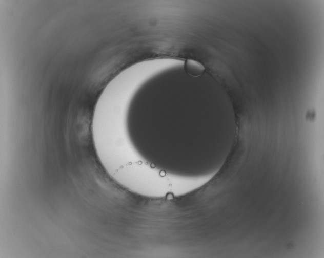 X0000113061154200909181953