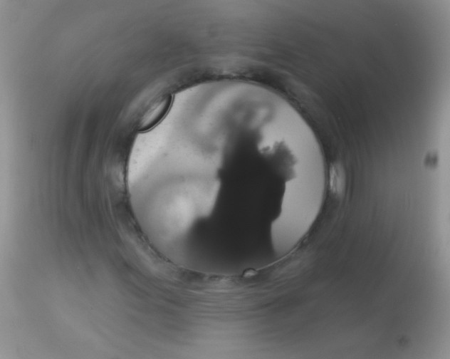 X0000113061155200909181953