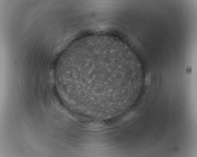 X0000113061156200909181953