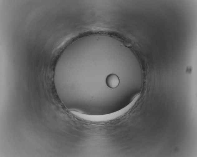 X0000113061157200909181953