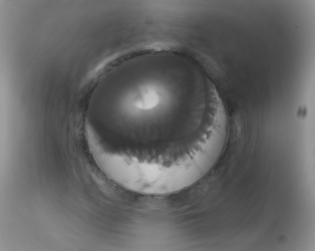X0000113061158200909181953