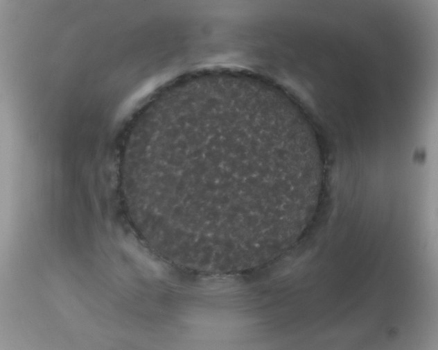 X0000113061159200909181953
