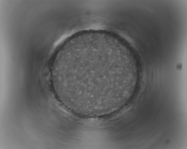 X0000113061160200909181953