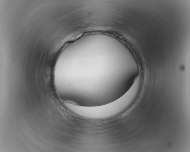 X0000113061161200909181953