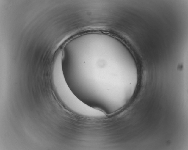 X0000113061162200909181953