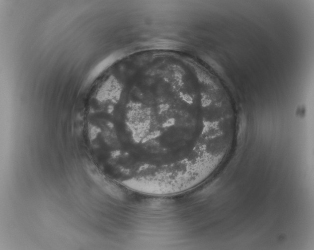 X0000113061163200909181953