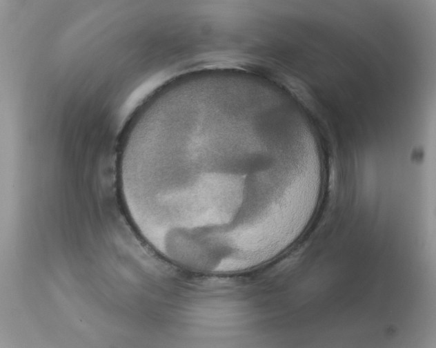 X0000113061164200909181953