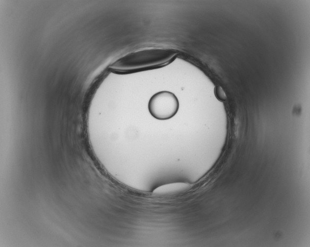 X0000113061165200909181953