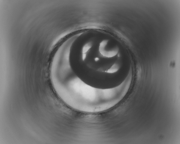 X0000113061166200909181953