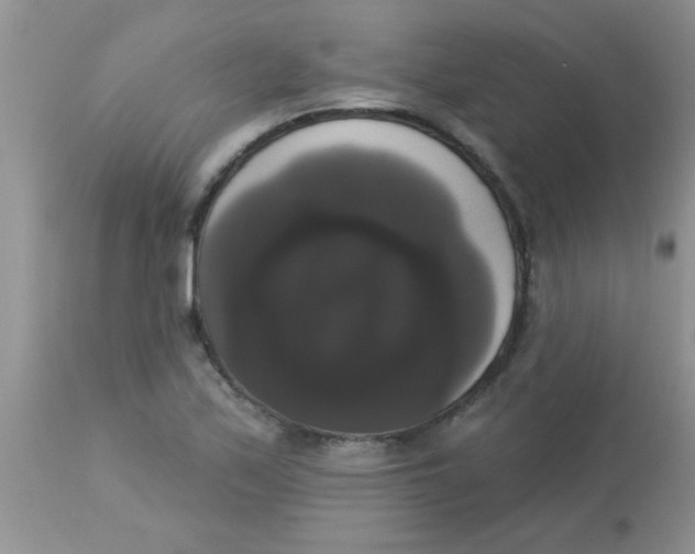 X0000113061171200909181953