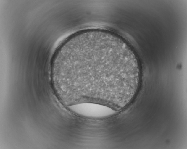 X0000113061172200909181953