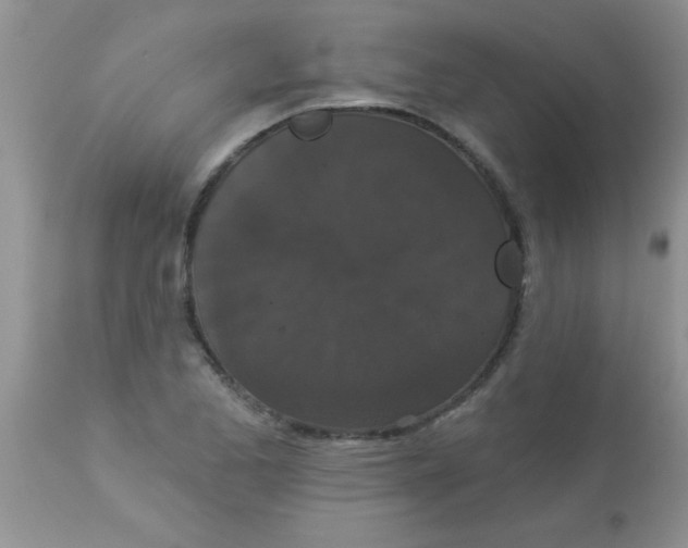 X0000113061173200909181953