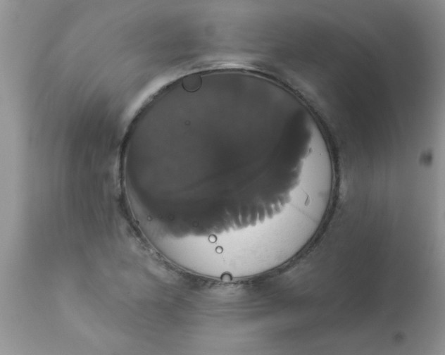 X0000113061174200909181953